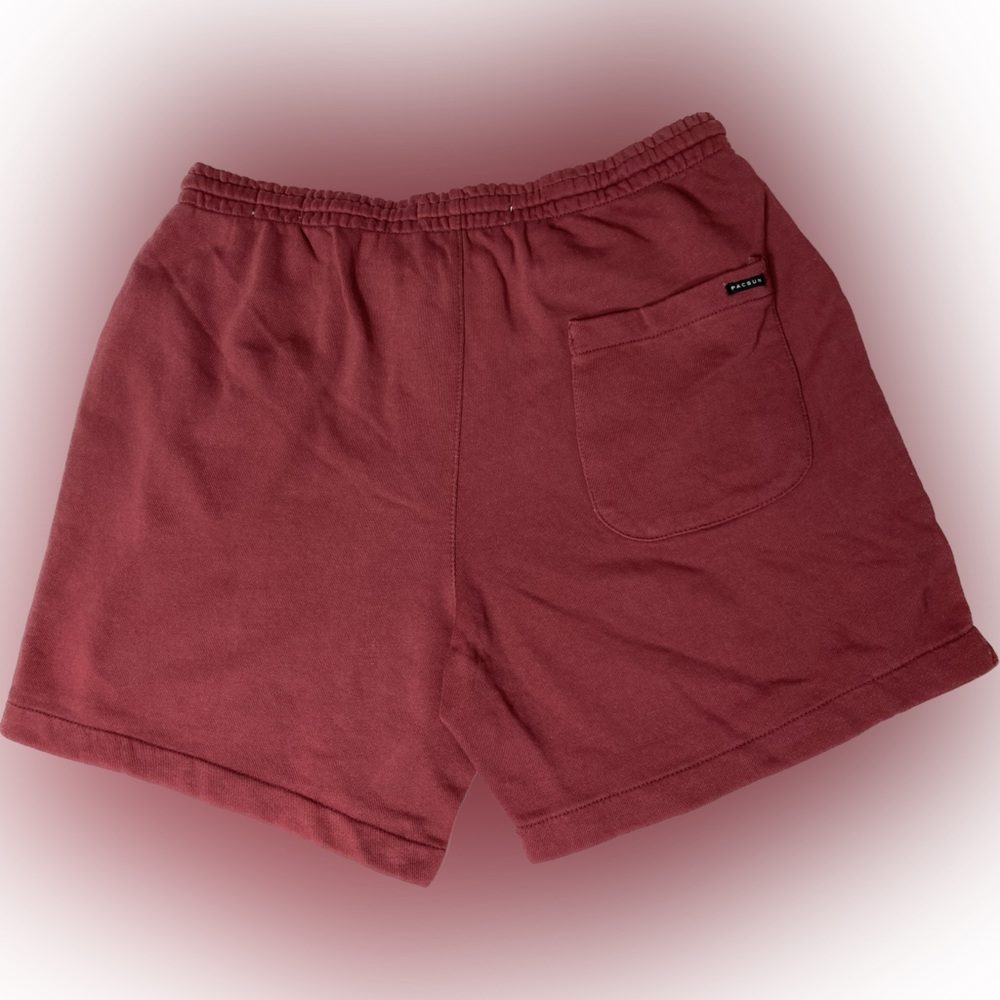 NWT Small Mens PacSun Red Volley Shorts w/ Pockets & Drawstring Waist - Picture 2 of 9